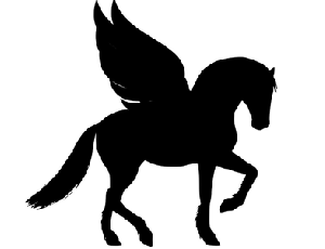 A. Nyzio - Myths about a winged horse. The Pegasus debate and operational control